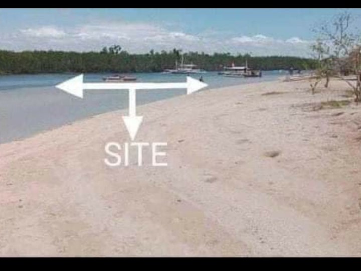3974 sqm white sand Beach Property For Sale in Olanggo Cebu