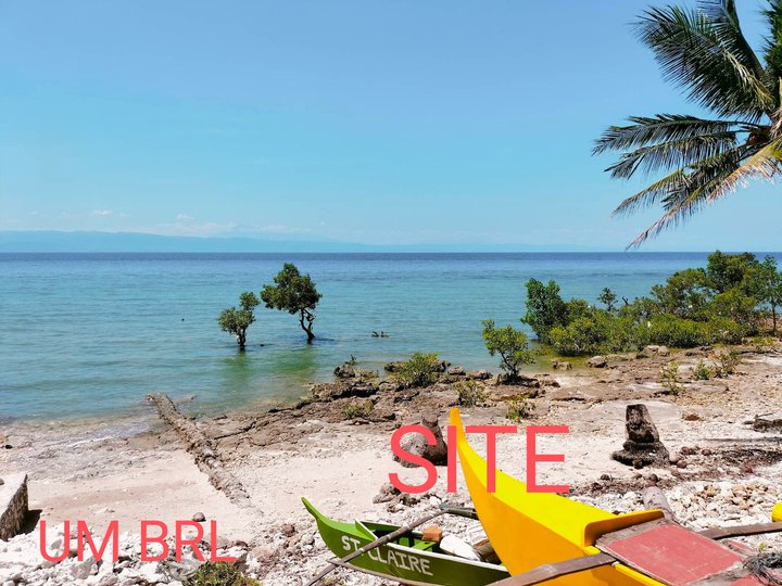 1423 sqm Titled Beach Property For Sale in Dumanjug Cebu
