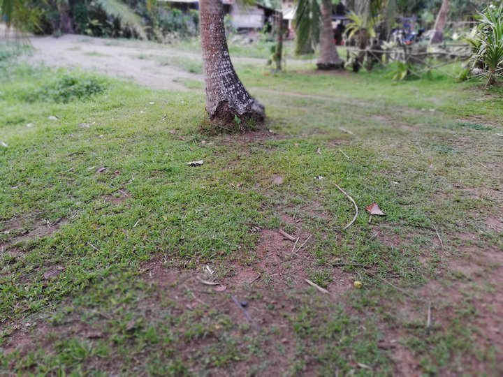 276 sqm Residential Lot For Sale in Baler Aurora
