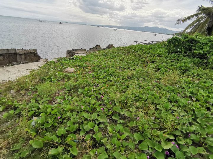 5408 sqm lot for sale with shoreline at pooc talisay cebu