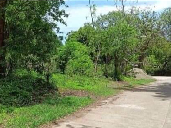 226 sqm Residential Lot For Sale near highway in Laoag Ilocos Norte