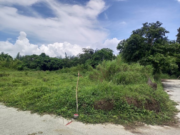 500 sqm Residential Farm For Sale in Alfonso Cavite