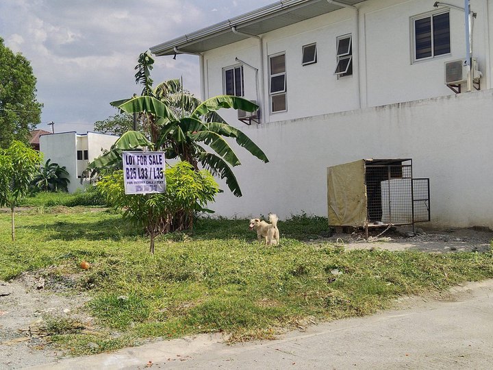 150 sqm Residential Lot For Sale in Bacoor Cavite