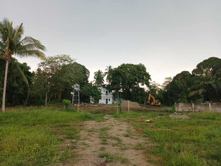 Residential Farm In Alfonso Cavite 200 sqm. For Sale