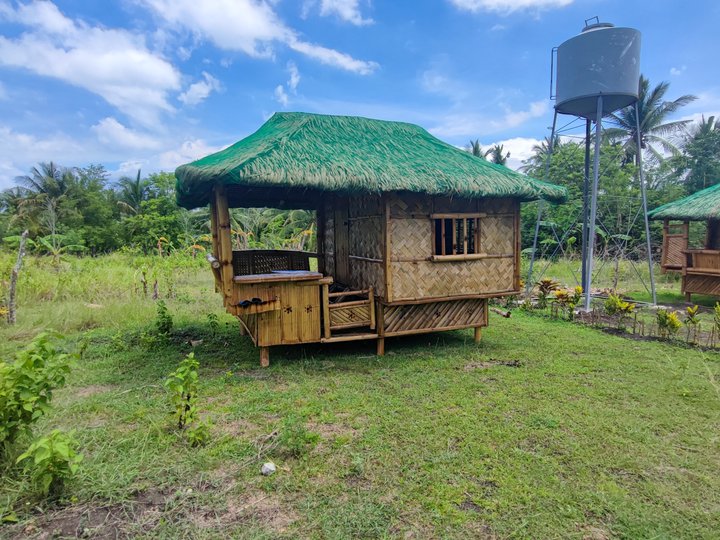 Residential Farm Lots for sale in Laiya San Juan Batangas near Beach