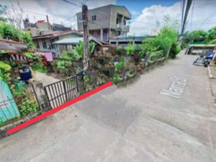 127 sqm Residential Lot For Sale in Naga Camarines Sur