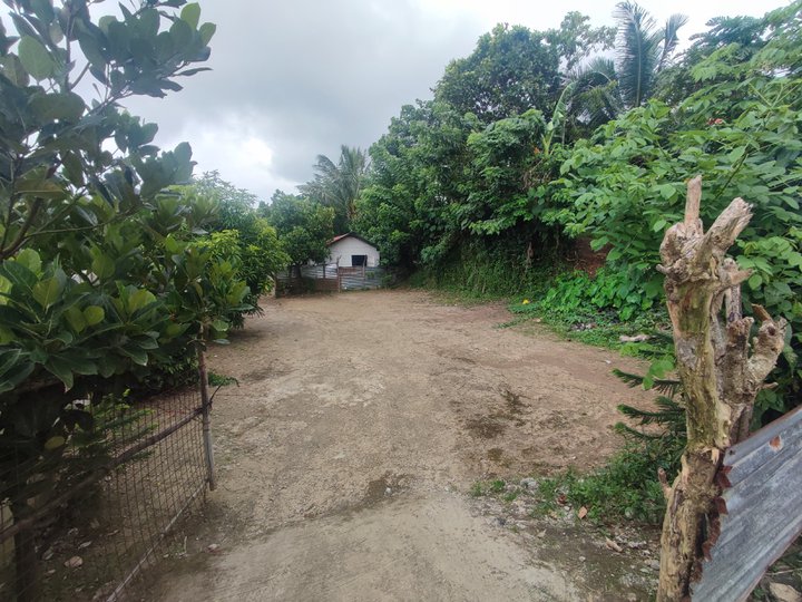 400 sqm Residential Farm For Sale in Amadeo Cavite [Lot 🚜] (March 2024