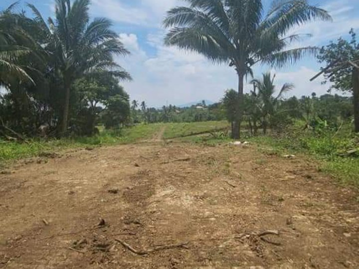 Residential Lot for Sale Near Tagaytay .