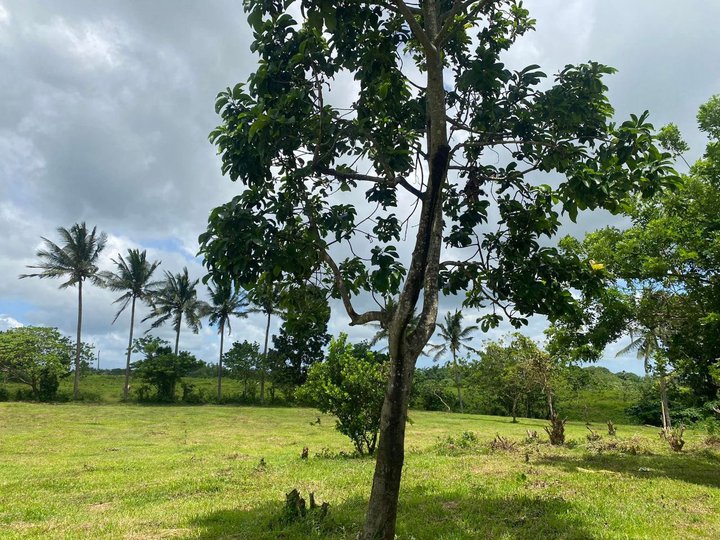 207 sqm Residential Farm For Sale in Silang Cavite