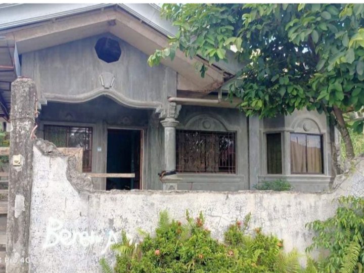 House and lot for sale in Tagum Davao Del Norte.