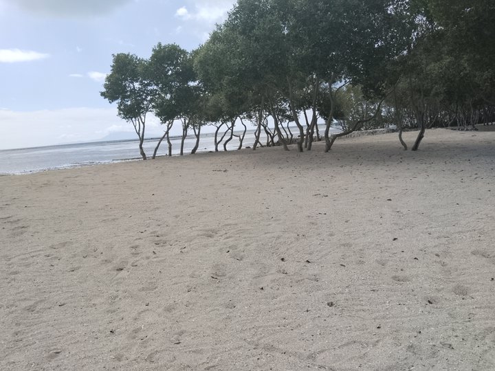 Lot for sale nearby Beach and Resort