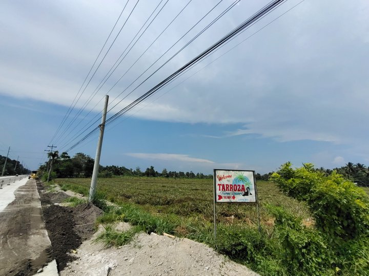 2.61 hectares Agro-Industrial Farm For Sale in Surallah South Cotabato