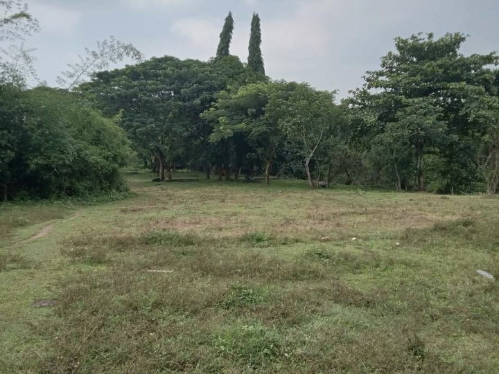 240 sqm Residential Lot For Sale in Antipolo Rizal