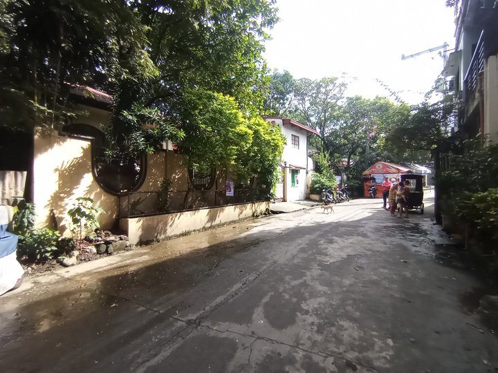 Residential Vacant Lot "Flood free" @ Brgy Muzon, Taytay, Rizal