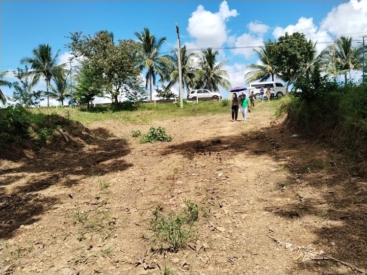 Residential- Farm lot for sale in Magallanes Cavite