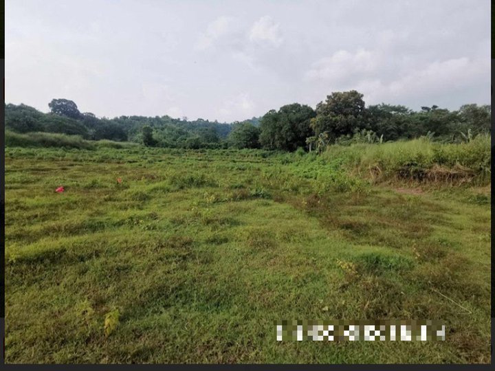 300sqm Farm Lot for sale in Subic, Zambales [Lot 🚜] (January 2024) in