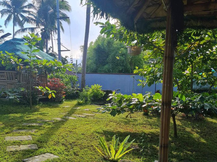 Rest house/ mini farm 1,563 sqm lot area in Nagcarlan Laguna