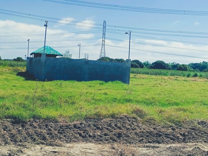 TITLED RESIDENTIAL FARM LOT IN LUBAO PAMPANGA, ZERO INTEREST