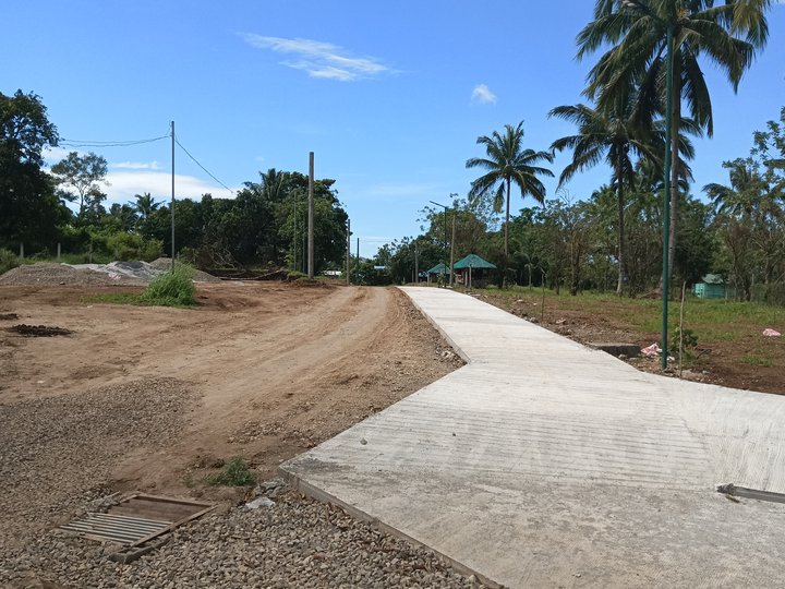 351 sqm Residential Farm For Sale in Alfonso Cavite