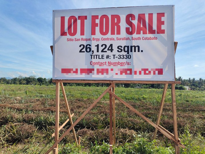 2.61 hectares Agricultural Farm For Sale in Surallah South Cotabato