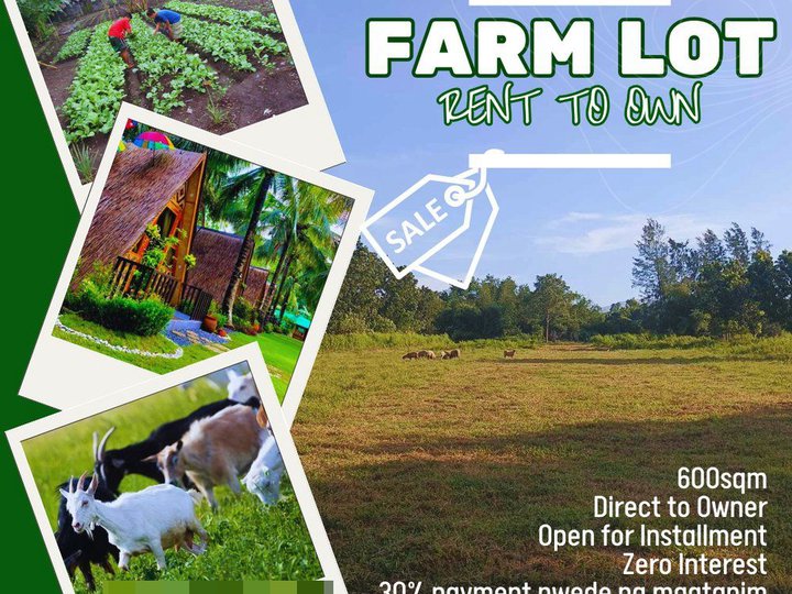 600sqm Farm Lot (INSTALLMENT) in Nagbunga, Castillejos, Zambales