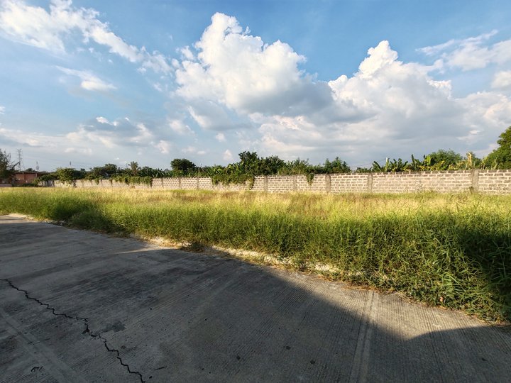 166 sqm Residential Lot For Sale in Camella Tarlac City