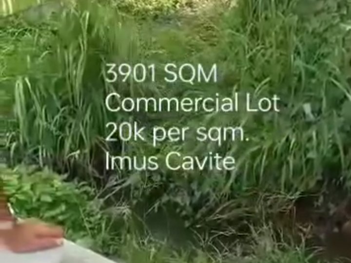 3,901 sqm Commercial Lot For Sale in Imus Cavite