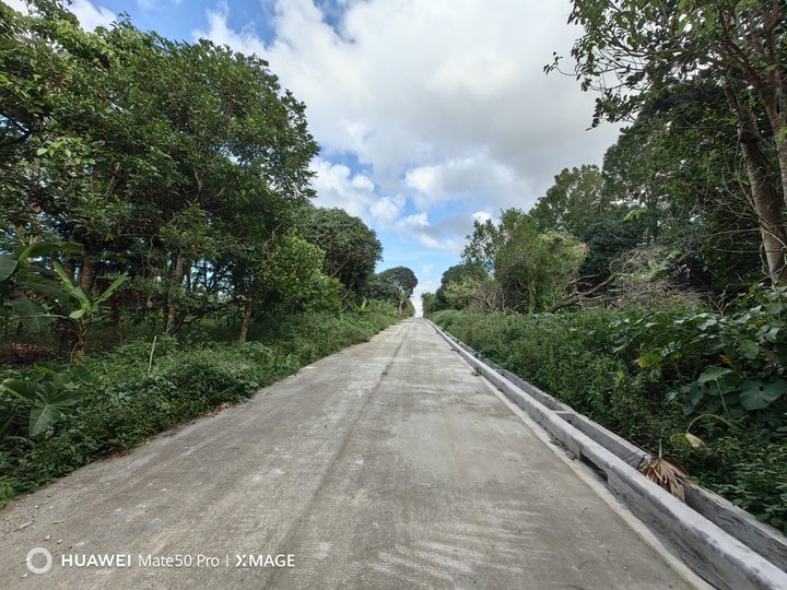 Residential Farm Lot Near Tagaytay