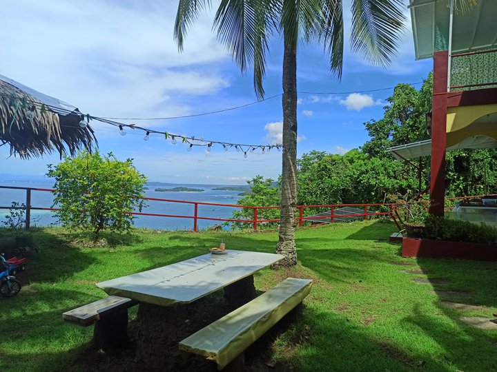 1 hectare overlooking beachline resort land for sale on Samal island