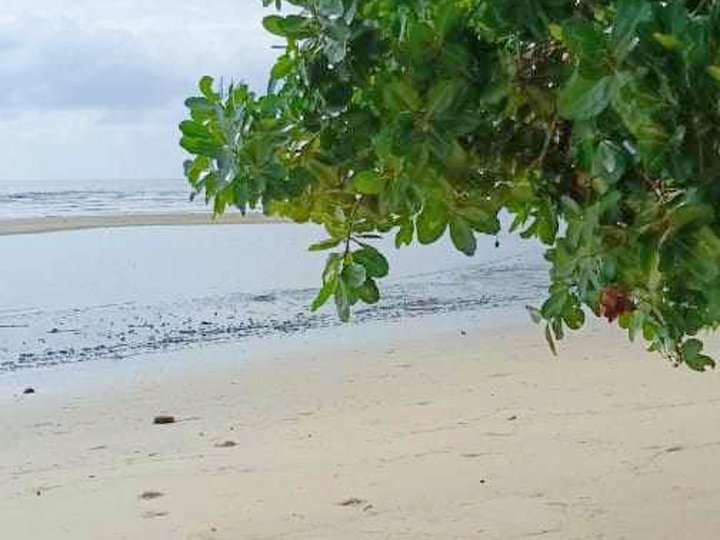 3.9 hectares Beach Property For Sale in Bataraza, Palawan