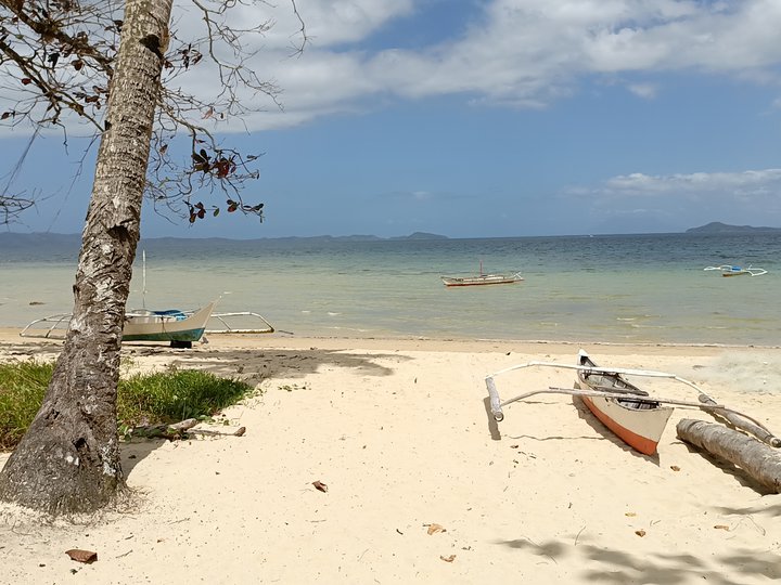 2,033sqm Beach lot Port Barton Palawan