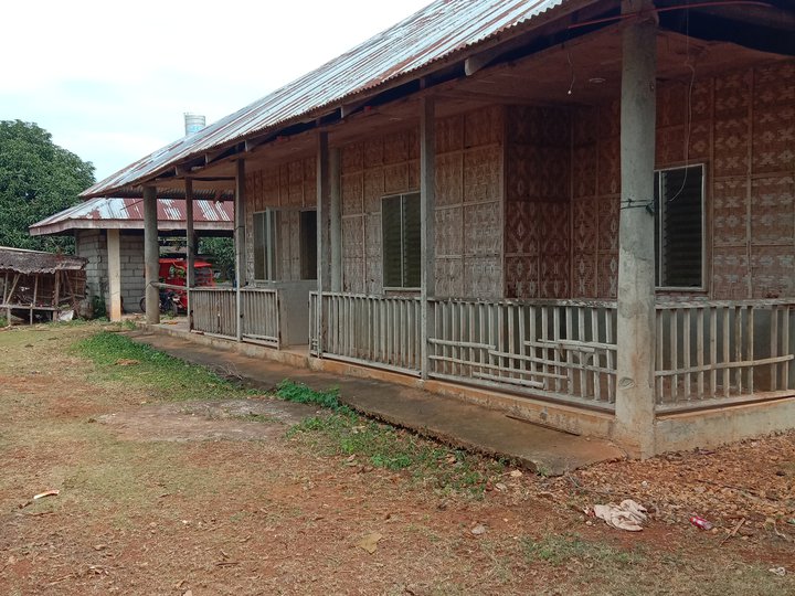 Lot have pig farm Bantayan Cebu ph