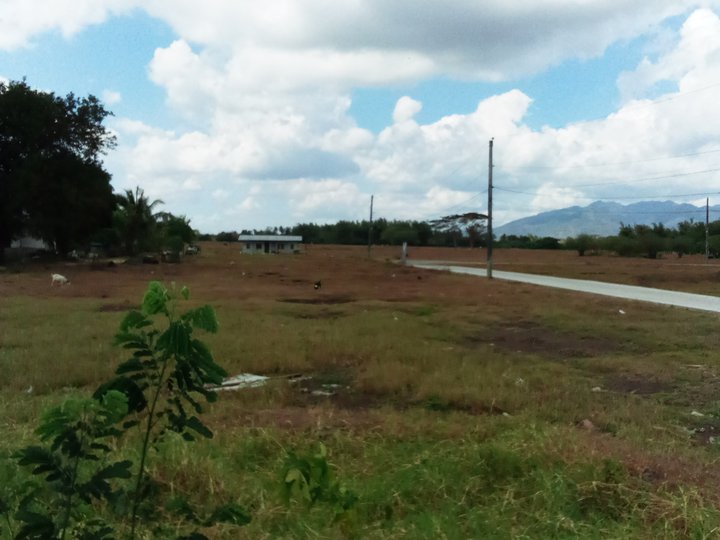 Agri land for sale Rosario Batangas 23,363