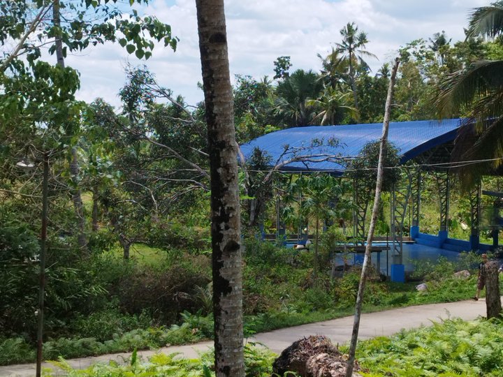 2.6 hectares Farm lot For Sale in Balilihan Bohol