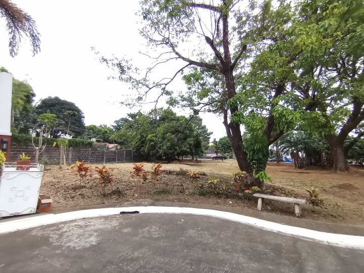 Residential Vacant Lot @ Foliage Subd. Brgy San Luis, Antipolo City