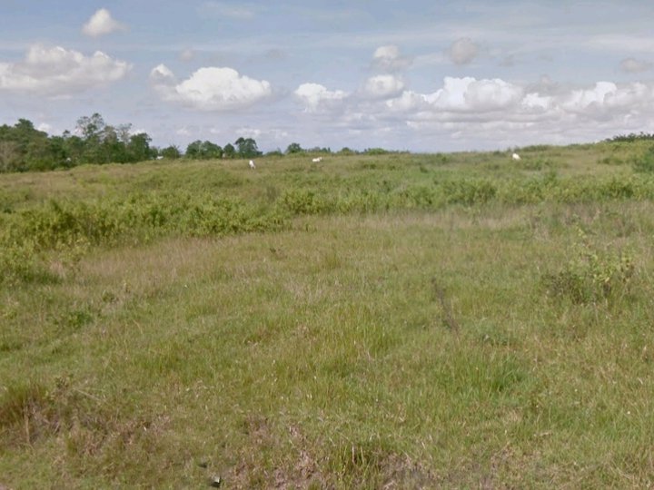 agricultural land for sale