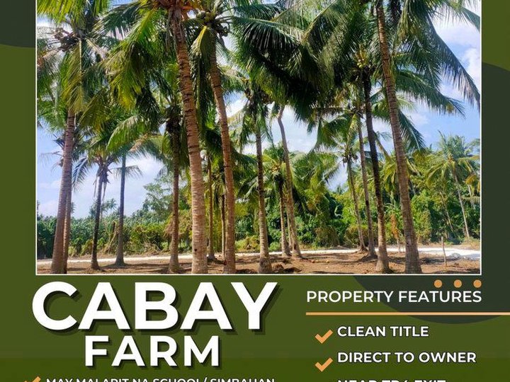 Murang Farm Lot for sale in tiaong Quezon