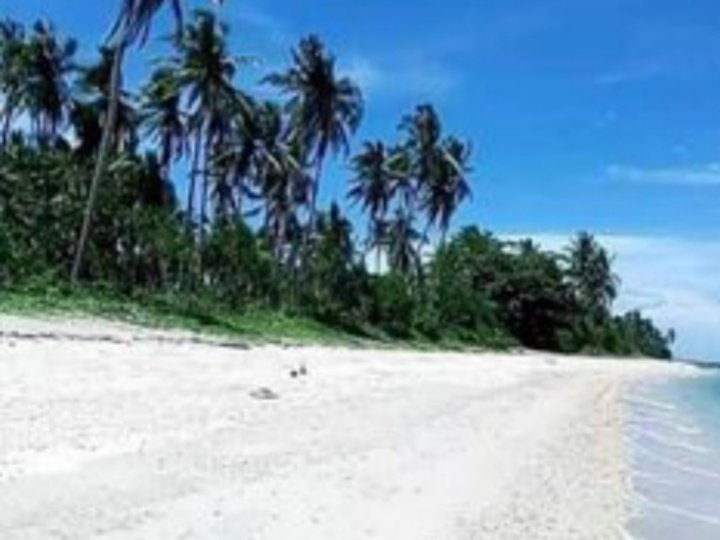 40 hectares Beach Property For Sale in Pilar Sorsogon