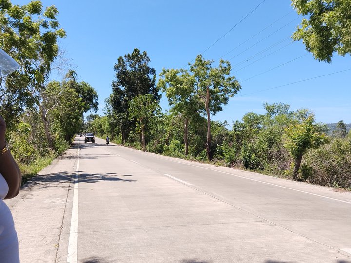 2 hectares lot for sale in Camotes Island , along national highway
