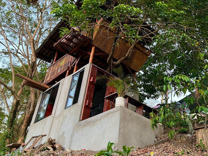 Overlooking Hilltop with Treehouse