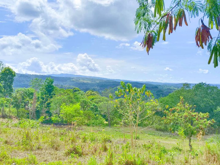 INSTALLMENT TITLED LOT IN TANAY RIZAL, ZERO INTEREST, FREE TRANSFER OF TITLE, INTRODUCTORY PRICE