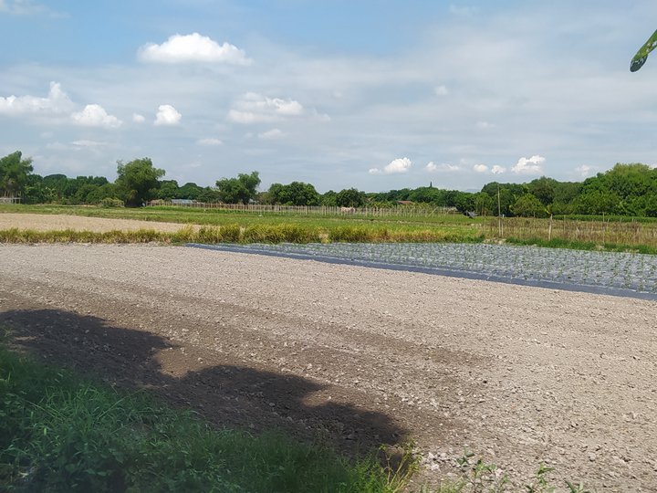 1,000 sqm Agricultural Farm For Sale in Santa Rita Pampanga