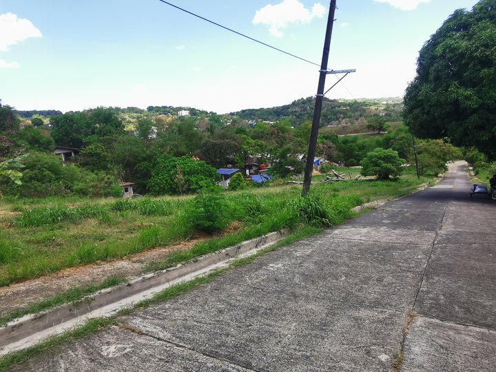 Residential Vacant Lot @ Palos Verdes Exec Village, Antipolo City