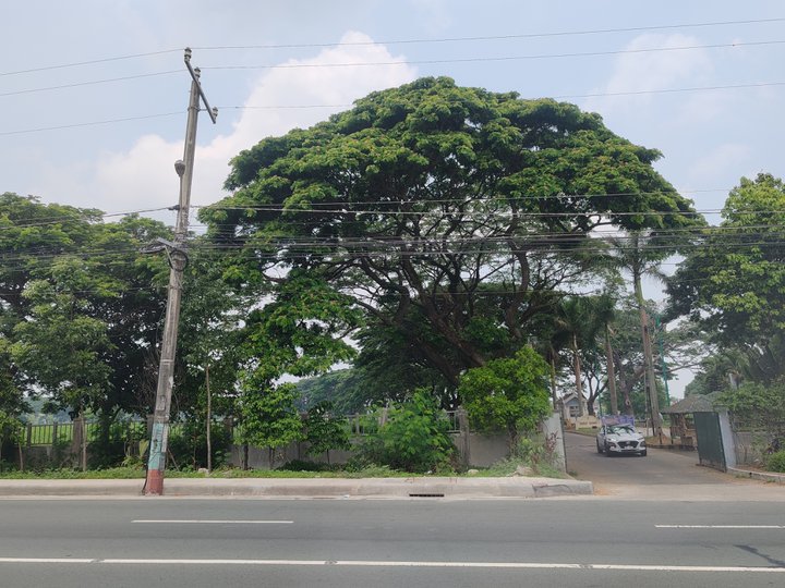 COMMERCIAL LOT FOR SALE IN GENERAL TRIAS CAVITE