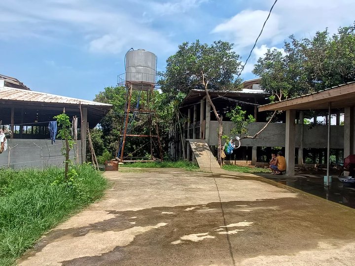 Farm Lot for Sale, with 2 Buildings for Poultry, with Gen Set and Water Supply