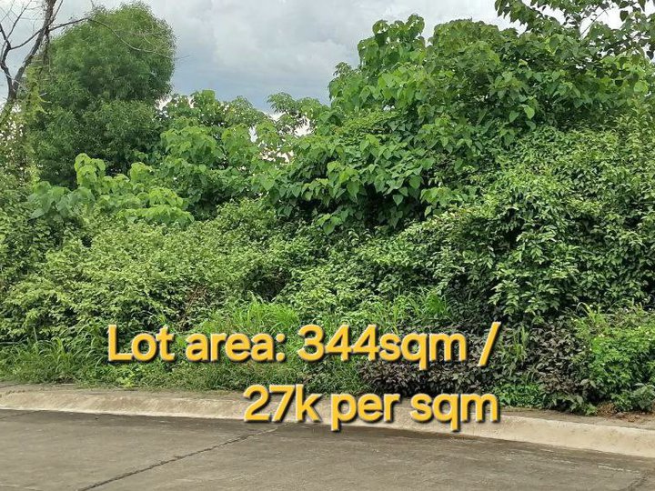 286 sqm Residential Lot For Sale in San Mateo Rizal