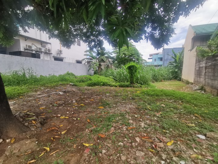 Residential Vacant Lot for Sale @ Vista Verde Country Homes, Munting Dilaw, Antipolo City
