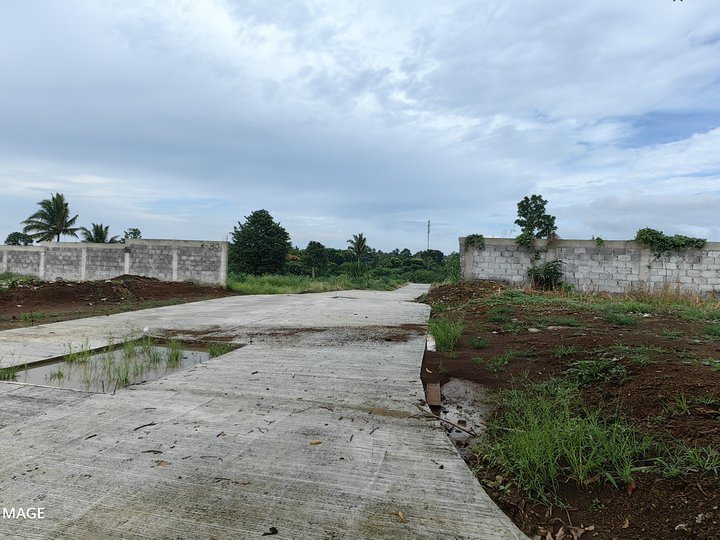 Residential Farm Lot 300 Sqm In Silang Cavite