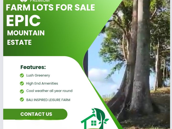 LOTS For Sale at EPIC Mountain Estate