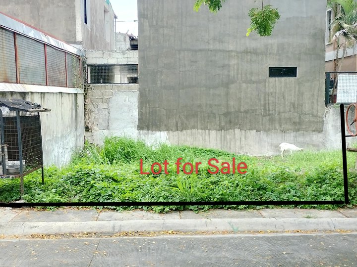 Lot for Sale 118sqm in Fairfield of Margana Subdivision Tagapo Sta Rosa Laguna